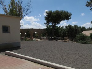 2015-05-29 Israel - Regba Class Reunion  (124)