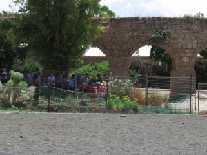 2015-05-29 Israel - Regba Class Reunion  (125)