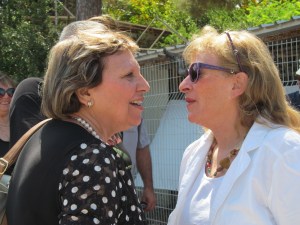 2015-05-29 Israel - Regba Class Reunion  (34)